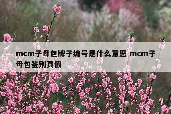 mcm子母包牌子编号是什么意思mcm子母包鉴别真假(mcm子母包牌子编号是什么意思mcm子母包鉴别真假)