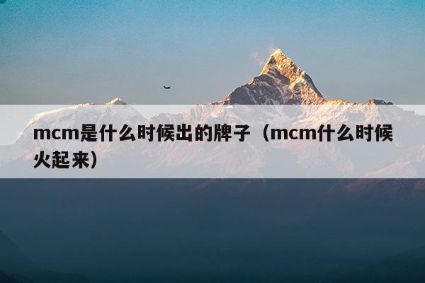 mcm是什么时候出的牌子(mcm是什么时候出的牌子)