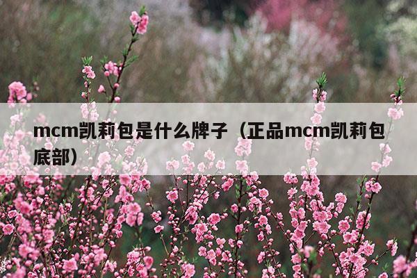 mcm凯莉包是什么牌子(mcm凯莉包是什么牌子)