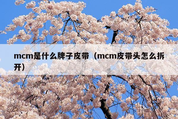 mcm是什么牌子皮带(mcm是什么牌子价位)