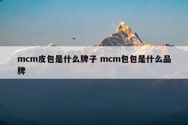 mcm皮包是什么牌子mcm包包是什么品牌(mcm是什么牌子的包包多少钱)