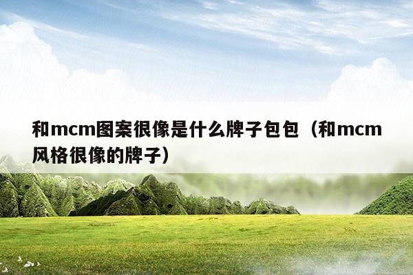 和mcm图案很像是什么牌子包包(mcm包包是什么牌子中文名)