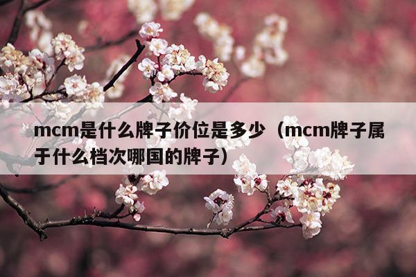 mcm是什么牌子价位是多少(mcm是什么牌子价位是多少)