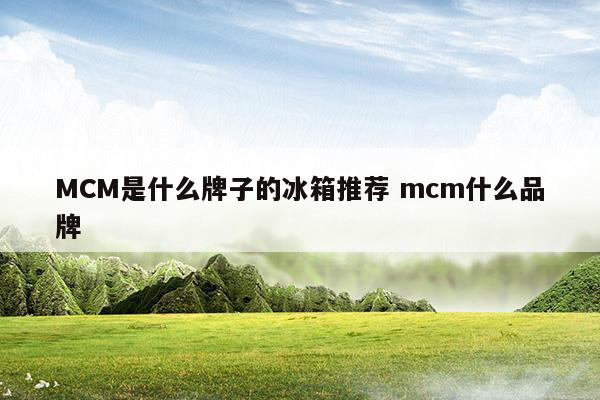 MCM是什么牌子的冰箱推荐mcm什么品牌(mcm品牌介绍)