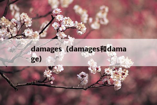 damages(damage是什么意思)