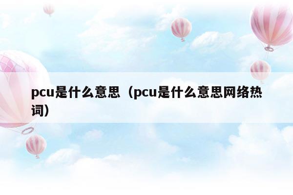 pcu是什么意思(pcu是什么牌子)