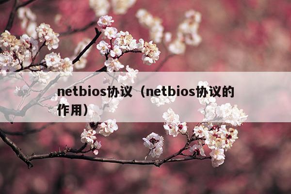 netbios协议(netbios协议怎么设置)