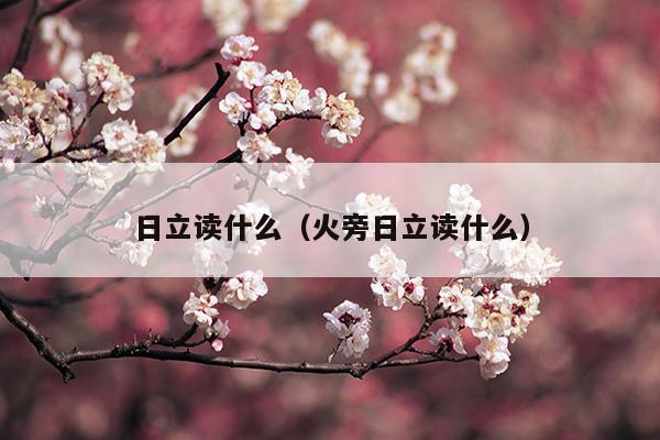 日立读什么(日立集团简介)