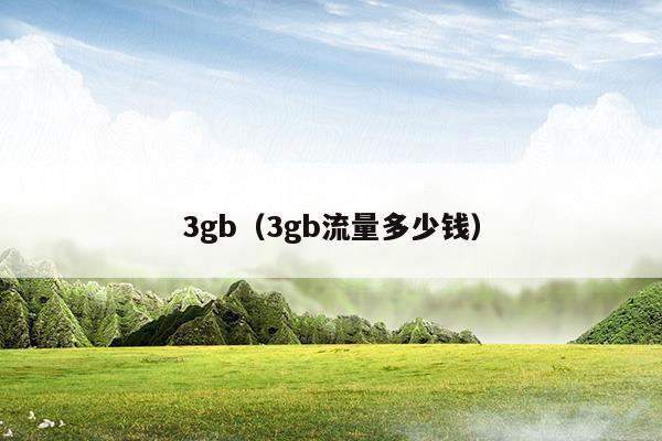 3gb(3gb内存有多大)