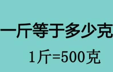 500g是一斤吗（500g是多少kg）