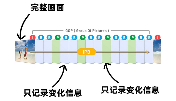 S5M2还是S5M2x？松下全画幅新机到底该怎么选啊？看完秒懂