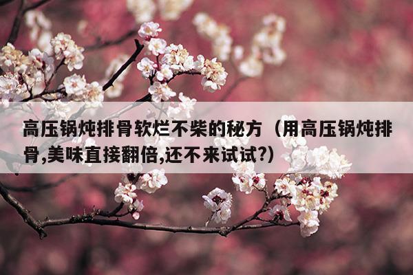 高压锅炖排骨软烂不柴的秘方(电炖锅和高压锅炖排骨哪个更软烂)