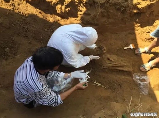 无锡重大考古发现：成功获取6000年前古人类DNA