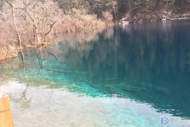 九寨沟几月份去最好(九寨沟几月份去最好风景)