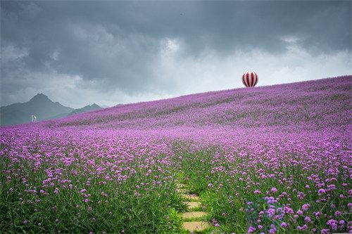 泰州十大必去的旅游景点(泰州景区有哪些景点推荐)