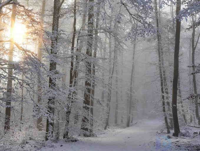 绝美的冰雪景观