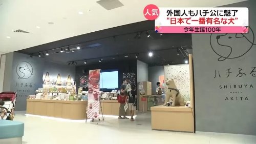 日本最有名的狗忠犬八公今年100岁了：珍贵照片展出