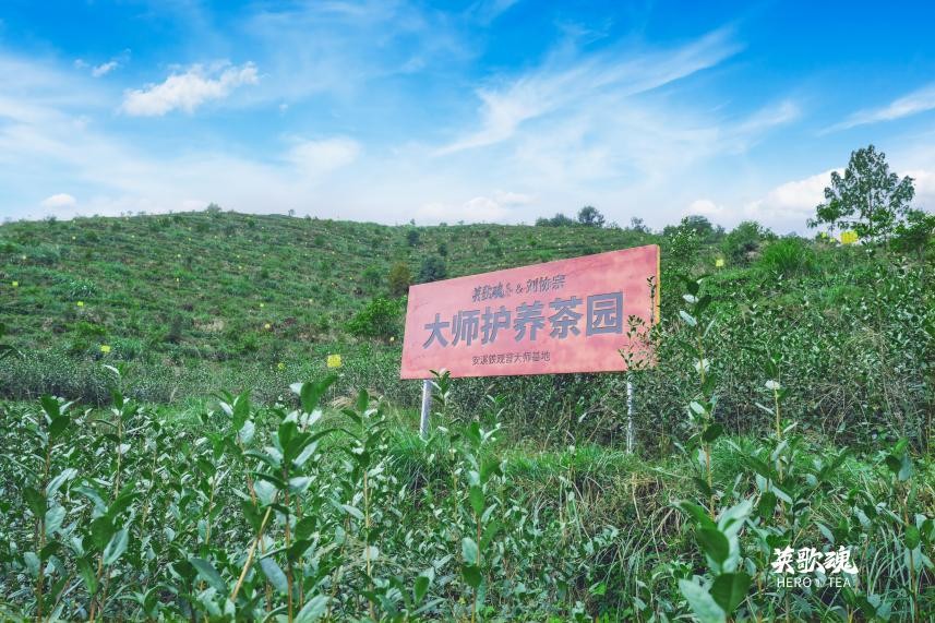 英歌魂招牌“白桃沁雪”一年狂卖500万杯，凭什么能在市场这么受欢迎？