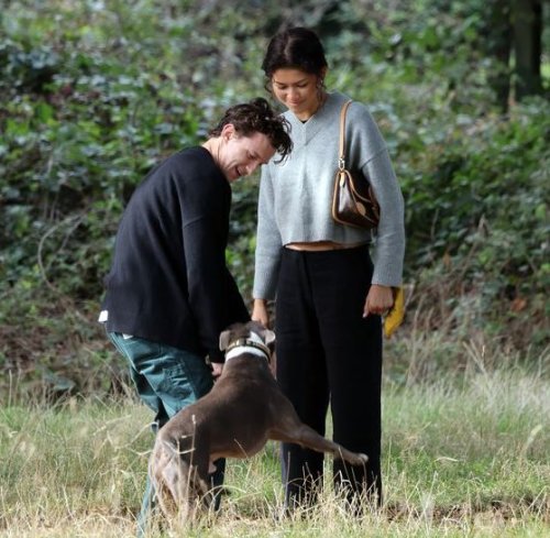 赞达亚、荷兰弟近照曝光 一起遛狗幸福美满