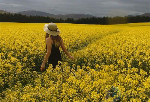 厦门十大春节旅游景点(厦门春节好去处)