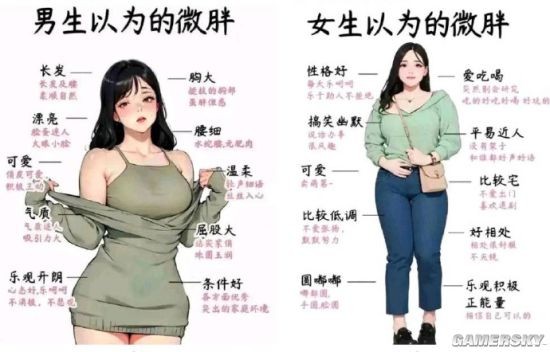 男人想象的微胖和女人的微胖 吸引注意力的囧图