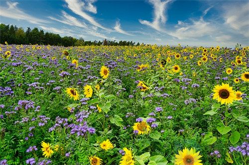 秦皇岛十大夏季避暑旅游景点(秦皇岛暑假旅游的地方)