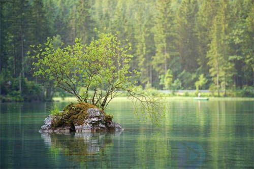 东莞湖泊盘点(东莞境内的河流湖泊名称)