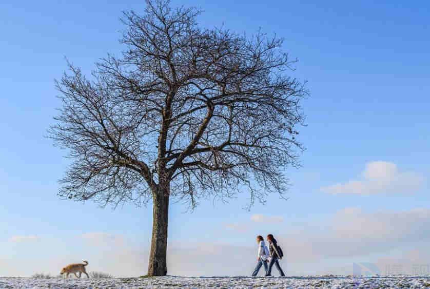 长沙十大赏雪胜地(长沙雪景网红打卡地)