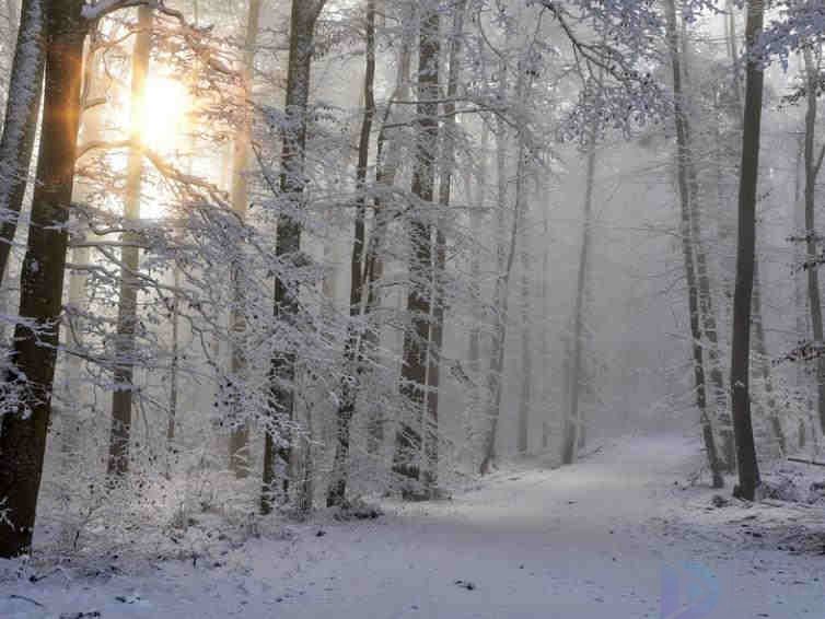 济南十大赏雪胜地(济南看雪景的地方)