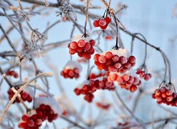 天津十大看雪的地方(天津哪里看雪)