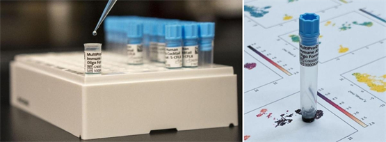 全新突破！Proteintech Genomics发布首款单细胞RNAseq实验胞内蛋白检测解决方案