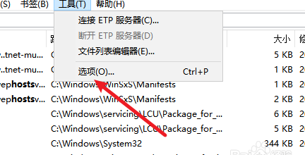 everything设置http