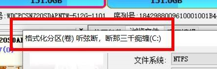 diskgenius格式化分区error