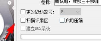 diskgenius格式化分区error