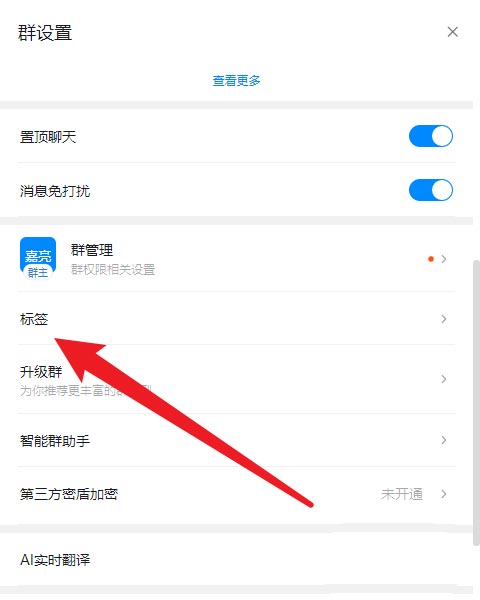 钉钉群怎么设置自己备注和标签