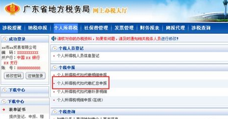 个人所得税代扣代缴在哪申报