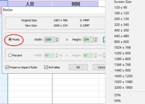 FastStone Capture破解版