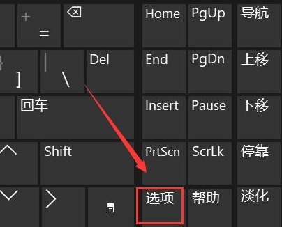 win11键盘输入没反应