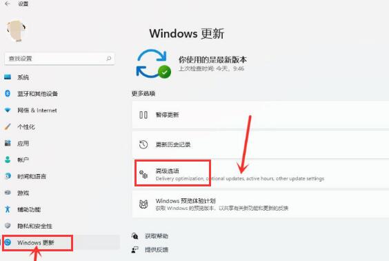 windows10传递优化在哪里