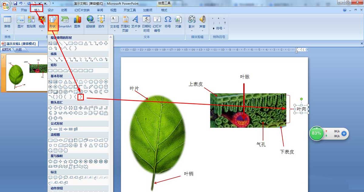 ppt如何画树叶
