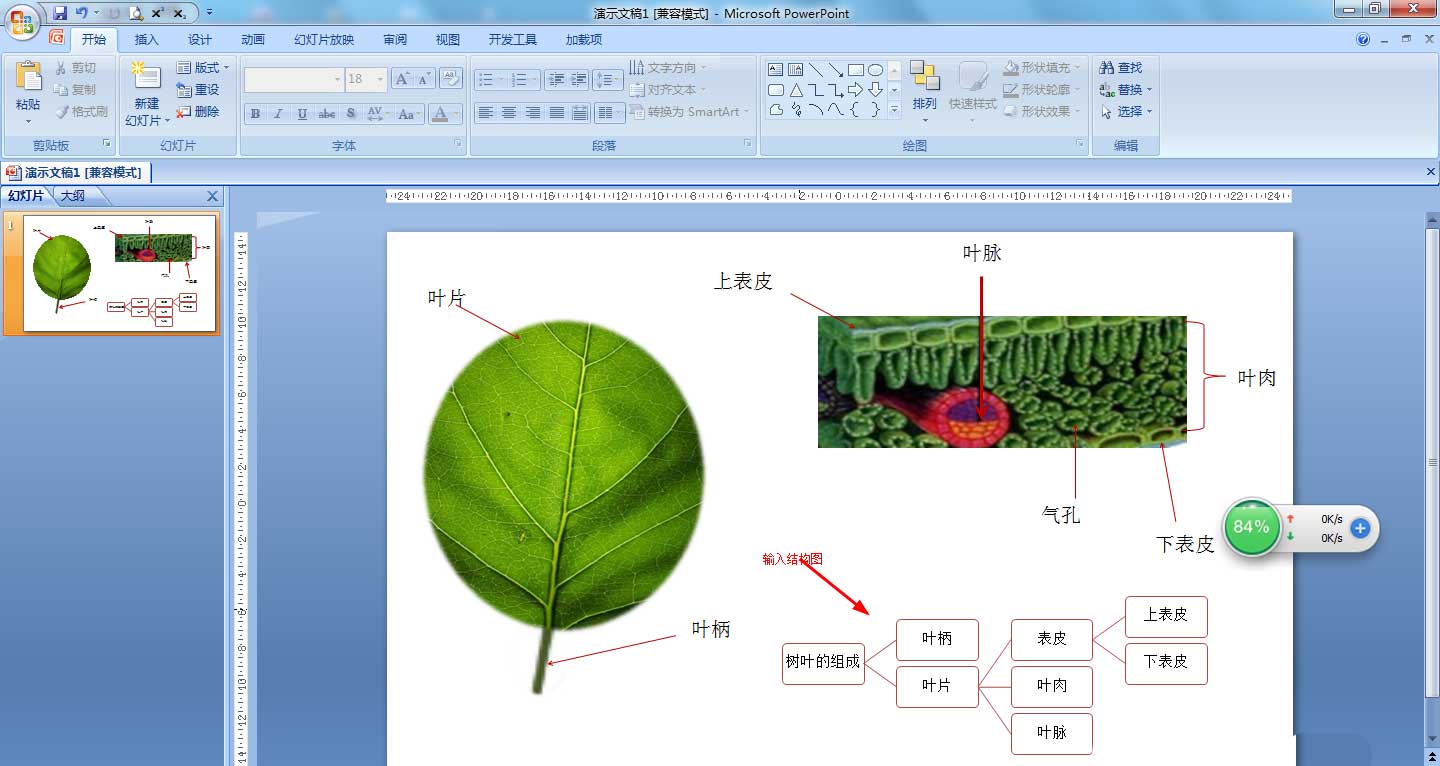 ppt如何画树叶