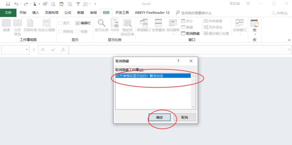 excel打开空白不显示内容 没有隐藏怎么用运行修改