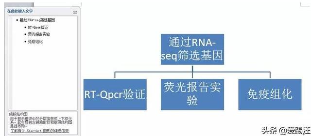 word制作技术路线图的操作步骤有哪些