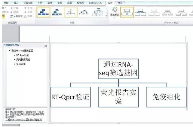 word制作技术路线图的操作步骤有哪些